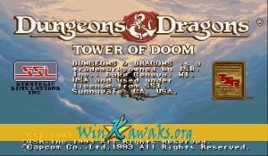 Dungeons and Dragons: Tower of Doom (Hispanic 940412)