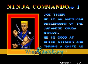 Ninja Commando Screenshot