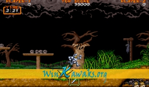 Dai Makai-Mura (Japan) Screenshot