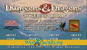 Dungeons and Dragons: Tower of Doom (Euro 940412)