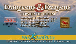 Dungeons and Dragons: Tower of Doom (Hispanic 940125)