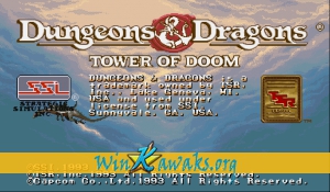 Dungeons and Dragons: Tower of Doom (Japan 940412)