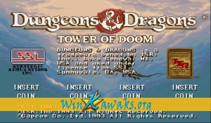 Dungeons and Dragons: Tower of Doom (Euro 940113)
