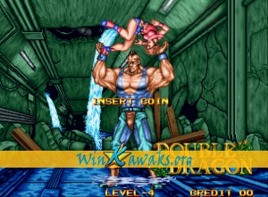 Double Dragon Screenshot