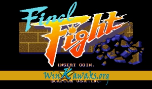 Final Fight (US 900424)