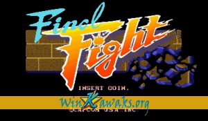 Final Fight (US 900613)
