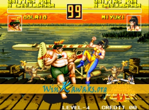 Fight Fever Screenshot