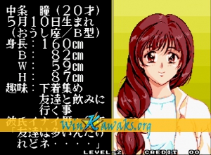 Final Romance 2 (Neo CD conversion) Screenshot