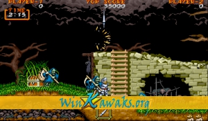 Ghouls'n Ghosts (US) Screenshot