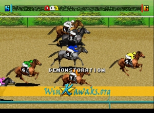 Jockey Grandprix Screenshot Jockey Grandprix Screenshot