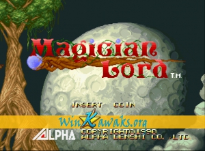 Magician Lord Magician Lord