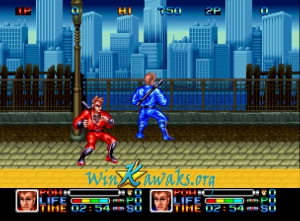 Ninja Combat Screenshot