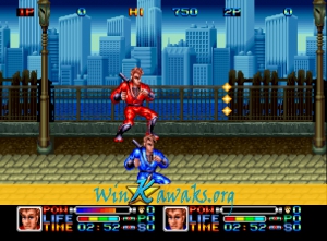 Ninja Combat Screenshot Ninja Combat Screenshot