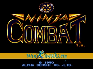 Ninja Combat (set 2)