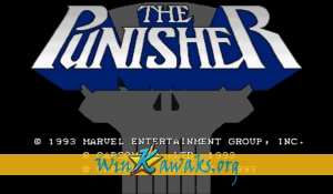 The Punisher (US 930422) The Punisher (US 930422)