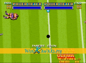 Soccer Brawl Screenshot