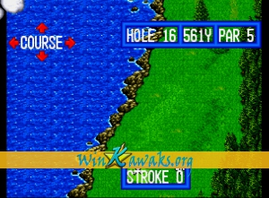 Top Player's Golf Screenshot