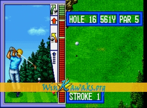 Top Player's Golf Screenshot Top Player's Golf Screenshot
